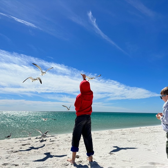 Meet the Posher - Picture 4 of 6